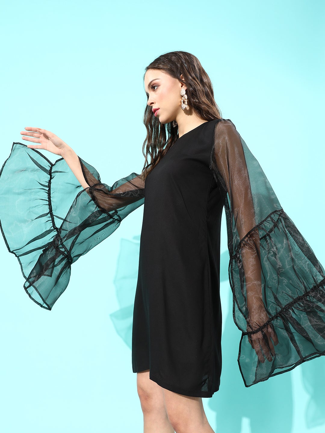 Black Organza Sleeve Dress